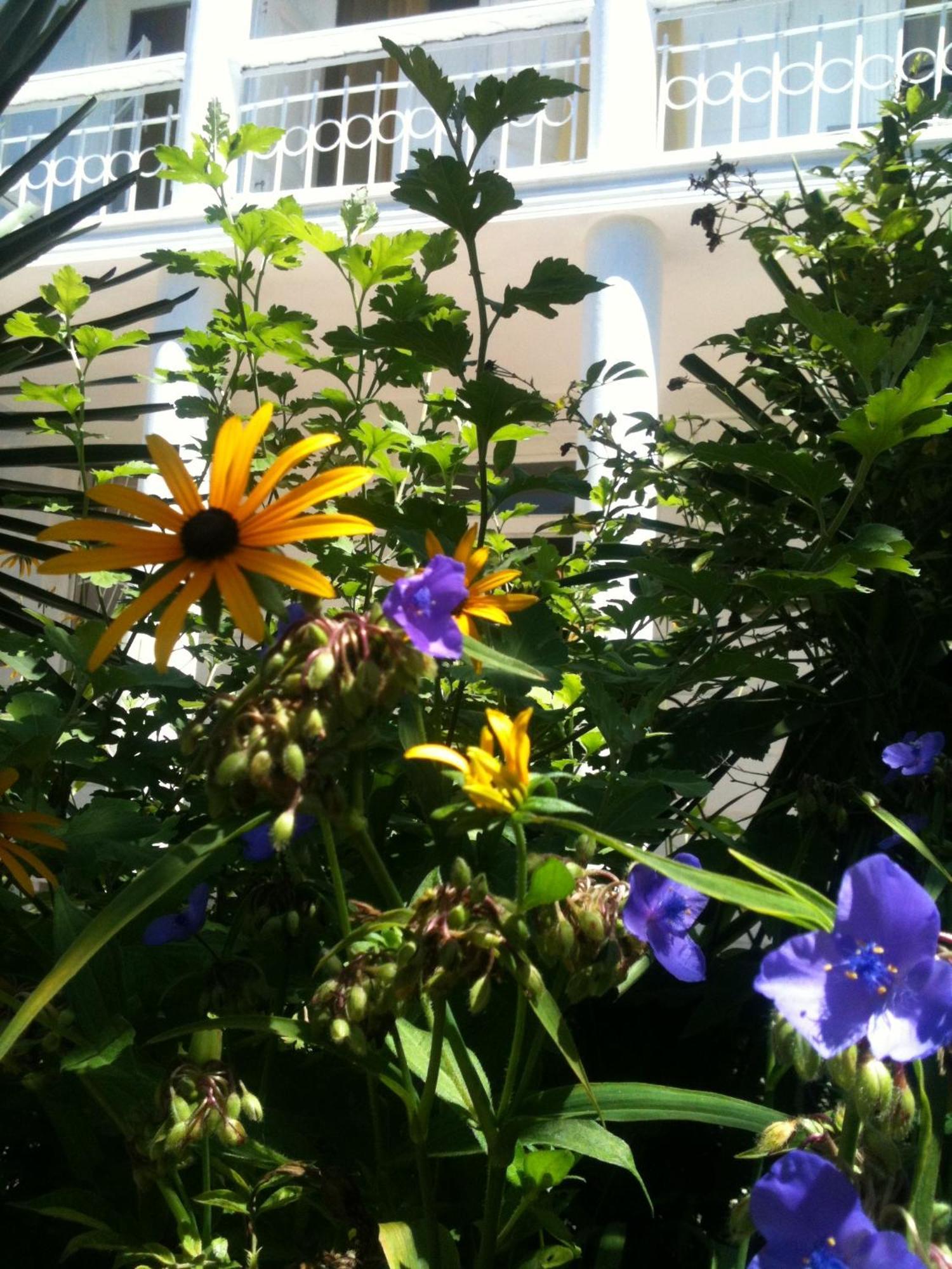 White Guest House Batumi Quarto foto
